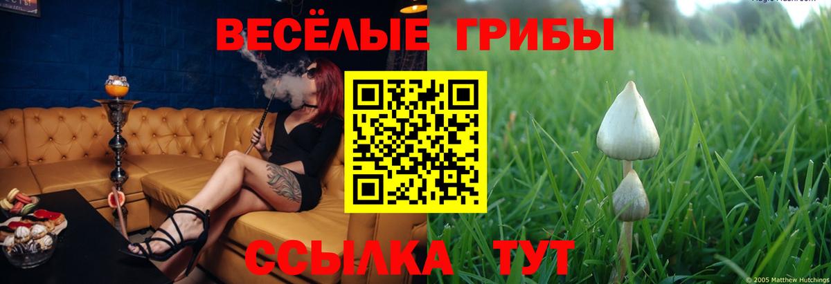 Псилоцибиновые грибы Magic Shrooms  Вход с VPN  Дедовск 